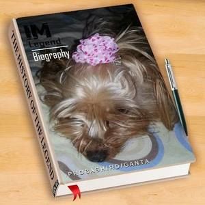 Meet your Posher, Lillian